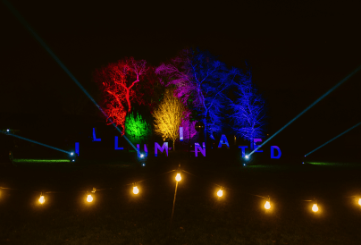Stockwood Illuminated