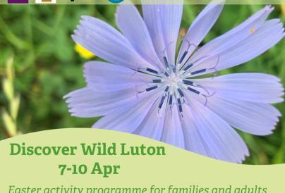 Discover Wild Luton