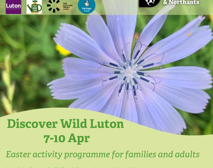 Discover Wild Luton